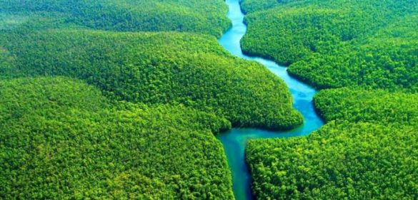 A transição verde não acontecerá sem financiamento para os países em desenvolvimento
