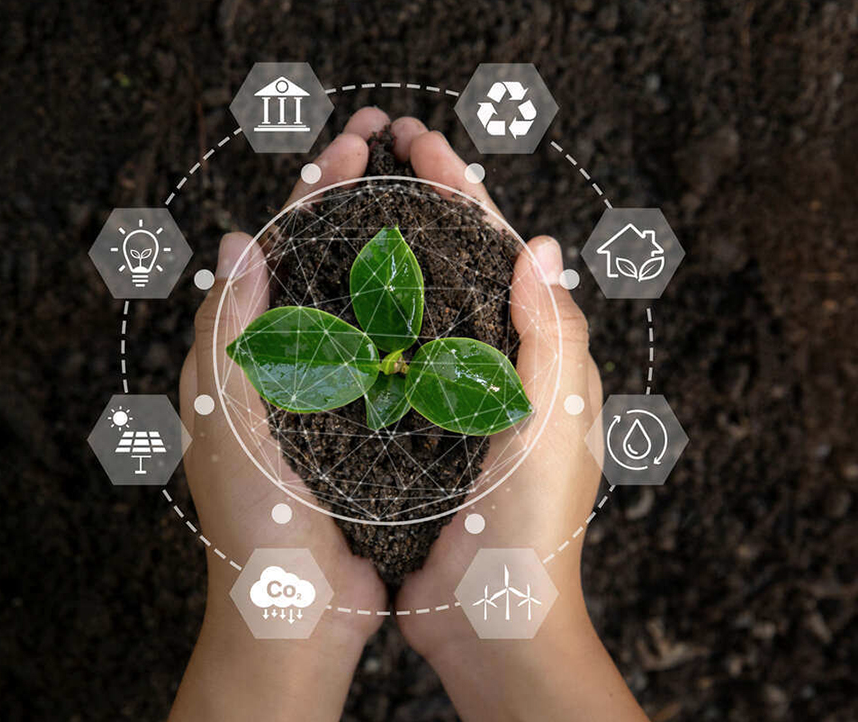 Sustentabilidade já transforma as relações de trabalho
