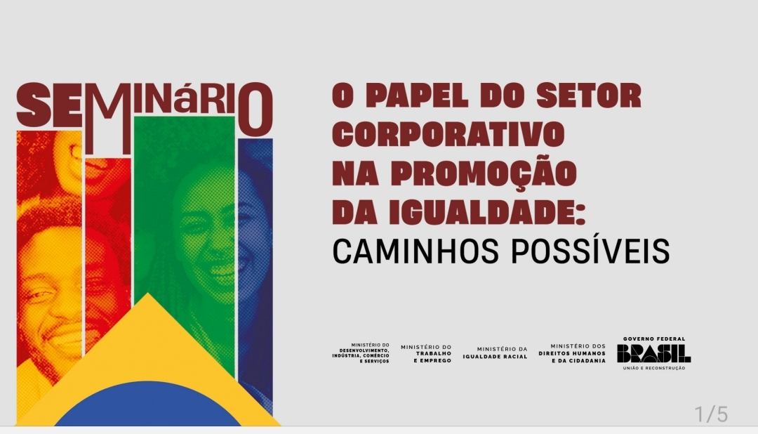 Seminário: O papel do setor corporativo na promoção da igualdade