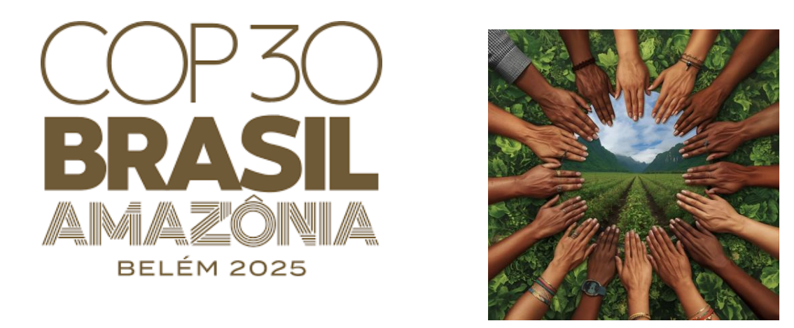 Mulheres frente às mudanças climáticas: uma história de resistência, resiliência e cuidado