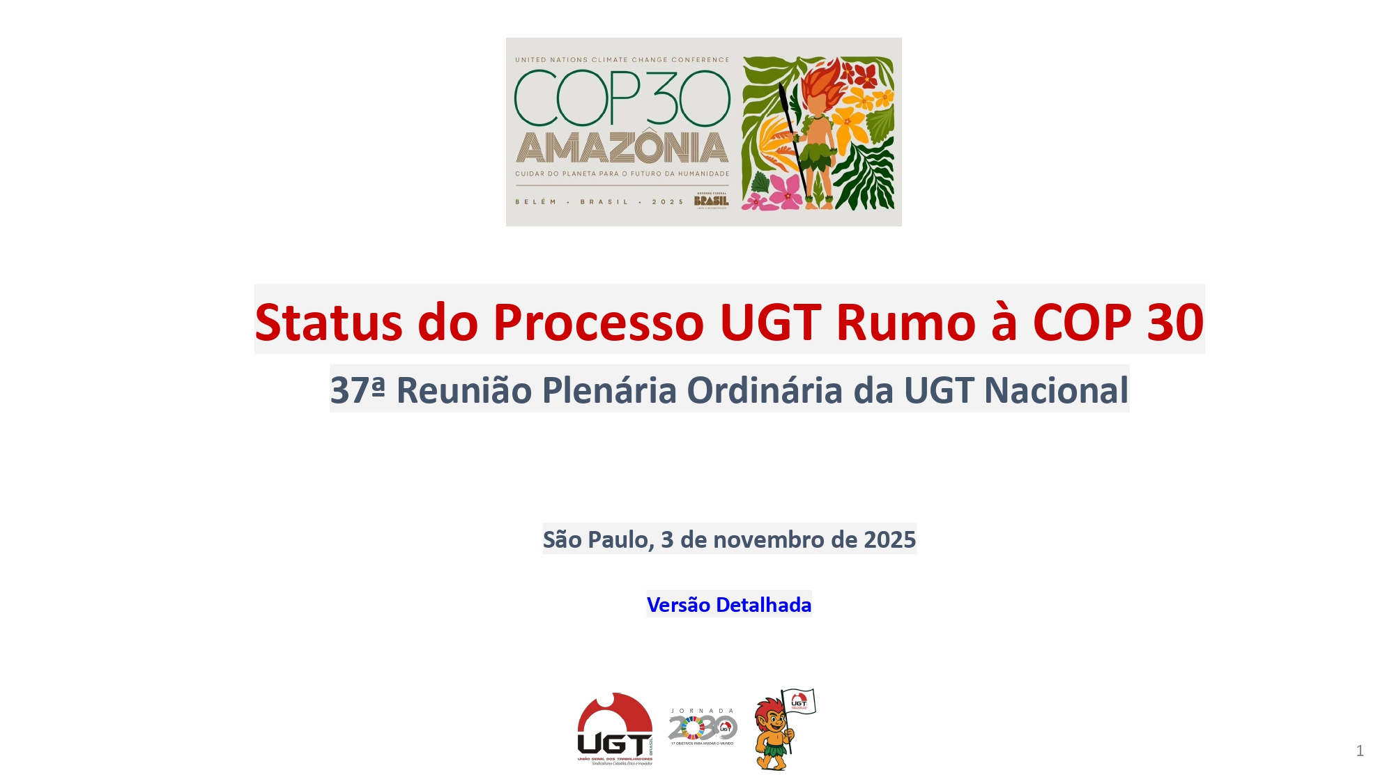 Status do Processo UGT Rumo à COP 30: 37ª Reunião Plenária Ordinária da UGT Nacional