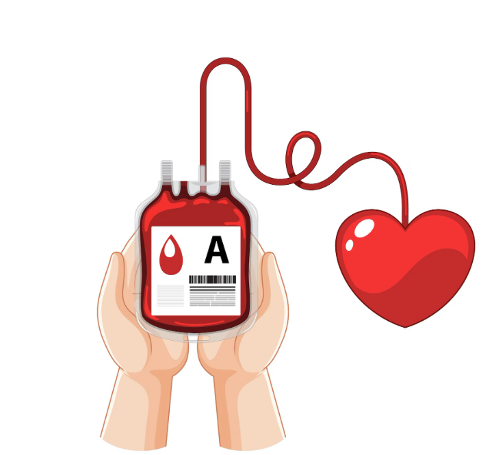 UGT apoia a Semana da Doação de Sangue