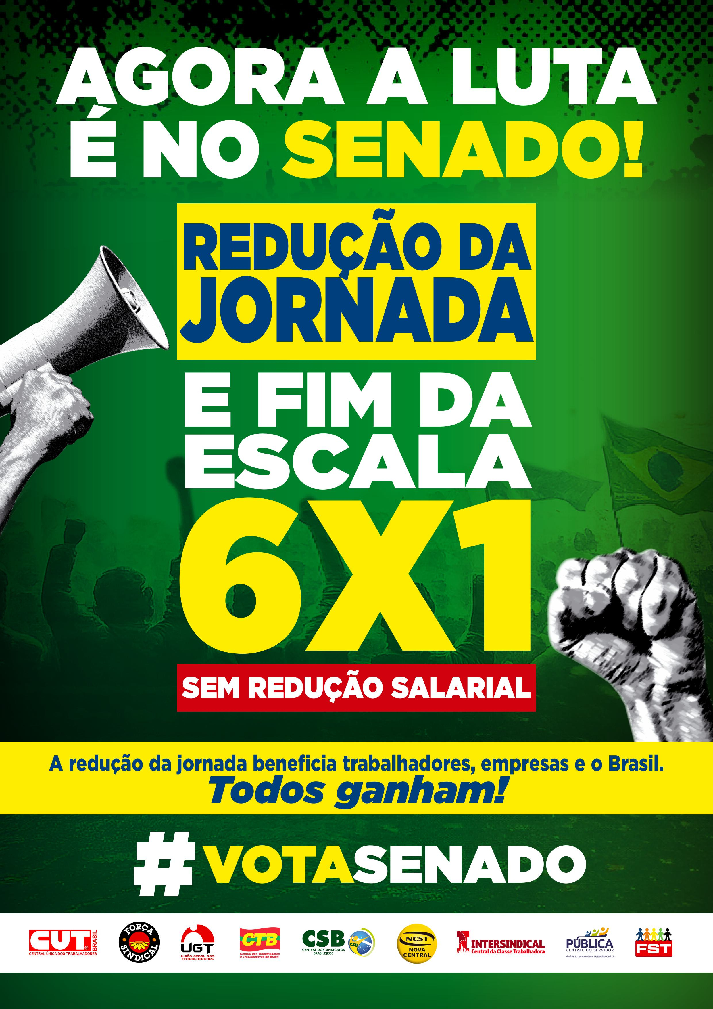 Agora a luta é no Senado