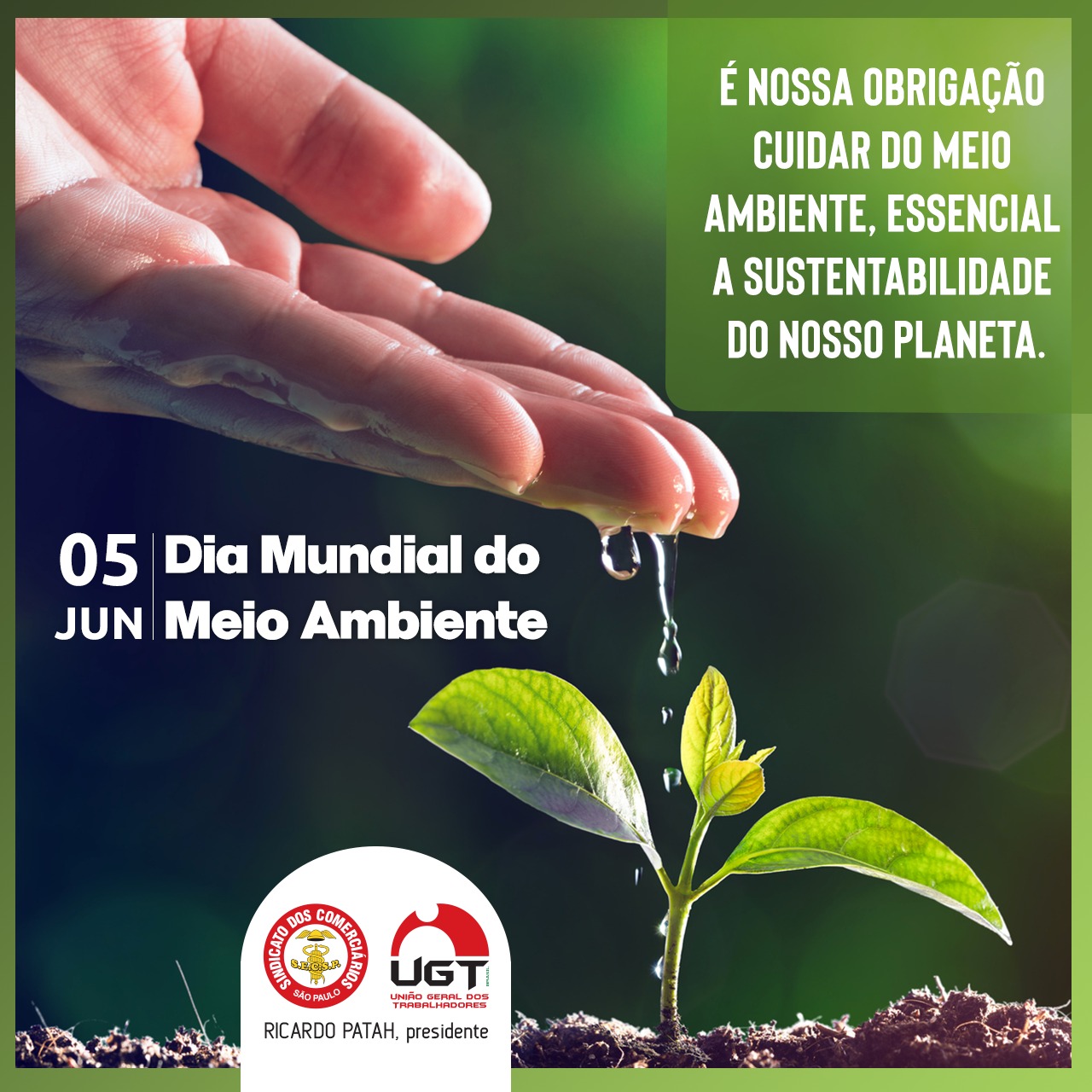 05 de junho: Dia Mundial do Meio Ambiente