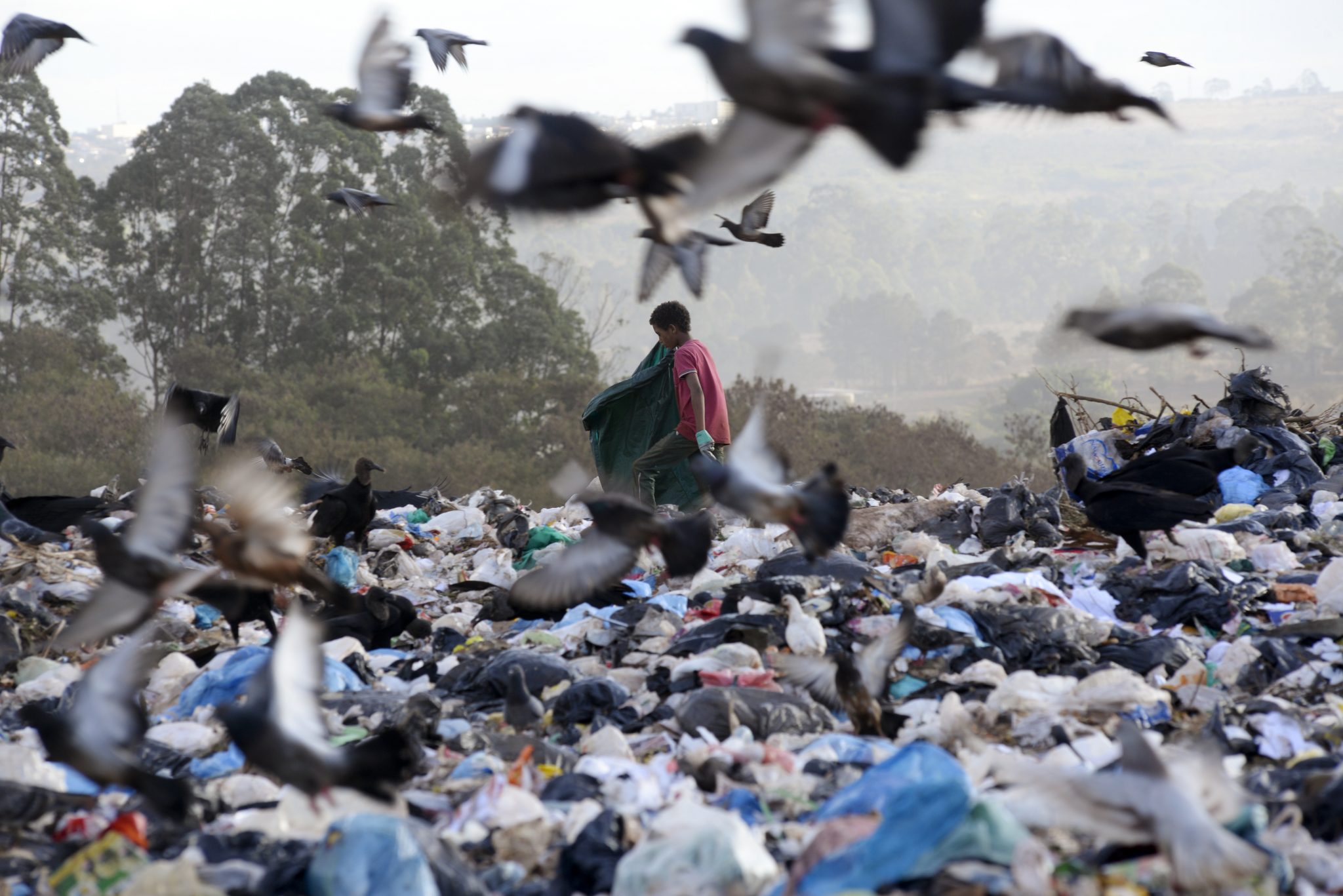 A crise do clima é social, a solução deve ser política