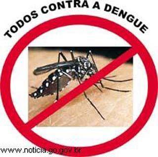 DENGUE: População e governo devem intensificar ações