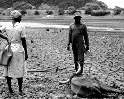 DESENVOLVIMENTO E SUSTENTABILIDADE