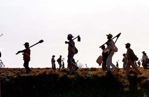 Intervalo para repouso e alimentação é devido ao trabalhador rural