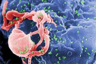 Novidade promissora contra a Aids