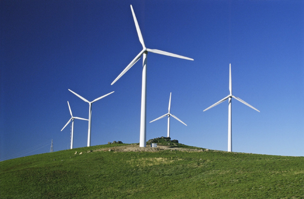 Os Sindicatos celebram o camino para uma economía verde conforme o informe sobre Meio Ambiente da ONU