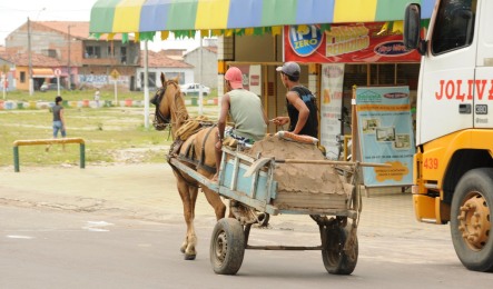 Sindicato da UGT tem 1.500 carroceiros filiados